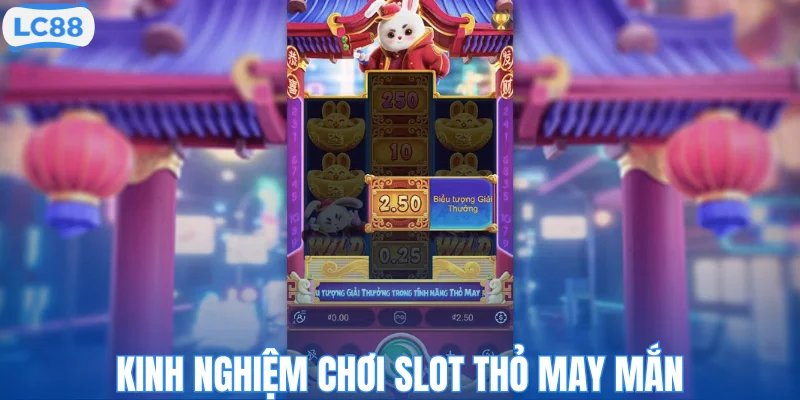 Kinh nghiệm chơi slot Thỏ may mắn