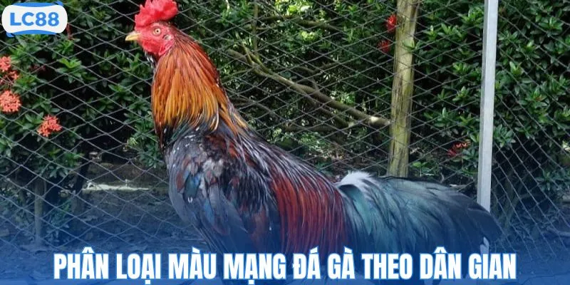 Phân loại màu mạng đá gà theo dân gian