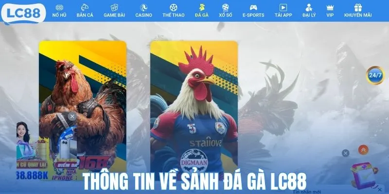 Thông tin về sảnh đá gà LC88