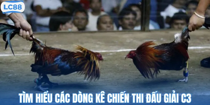 Tìm hiểu các dòng kê chiến thi đấu giải C3