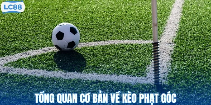 Tổng quan cơ bản về kèo phạt góc